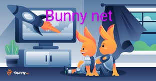 bunny net Academia 