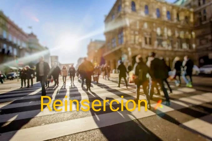 Reinsercion Bienestar Social